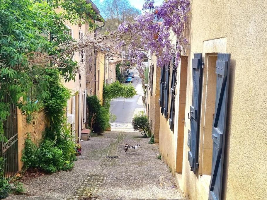Saint-Michel-de-Lanès Romantique Room St Michel De Lanes מראה חיצוני תמונה
